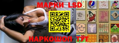 ГАЛЛЮЦИНОГЕННЫЕ ГРИБЫ Северобайкальск